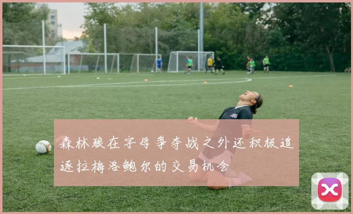 森林狼在字母争夺战之外还积极追逐拉梅洛鲍尔的交易机会